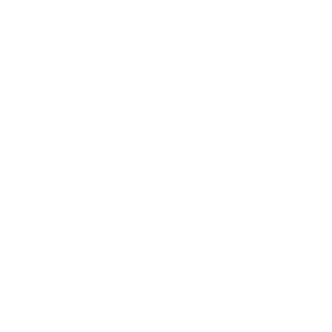 index-categoryicon2